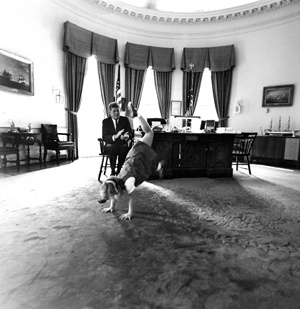 Tumbling in whitehouse