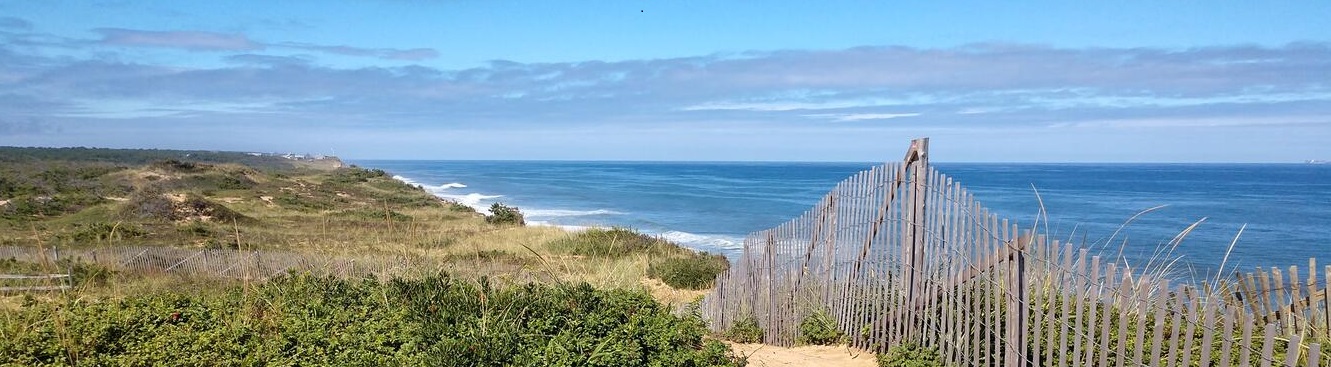 A landscape of dunes, a grey, wooden fence and shoreline north of Marconi Beach in Cape Cod National Seashore.