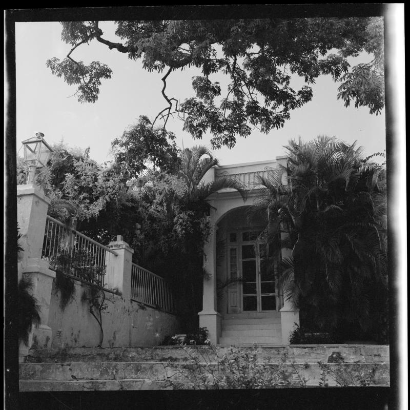 A black and white square photo of the entrance to Hemingway's Cuba home, the Finca VigÍa.  Palms and other tropical plants frame the entrance, which is approached by a series of steps -- broad cement over stone steps, then a steeper set of five white wooden steps under a portico.