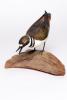 MO 63.4854.1A. Hand-carved and painted killdeer bird, undated